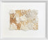 coral and gold abalone wall art